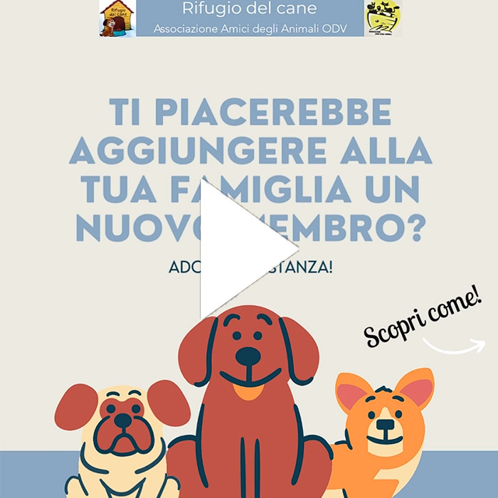 foto-gallery